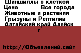 Шиншиллы с клеткой › Цена ­ 8 000 - Все города Животные и растения » Грызуны и Рептилии   . Алтайский край,Алейск г.